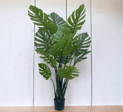 Swiss Cheese Plant Pot - Chic & Durable Design - Vitrine Furniture - Décor