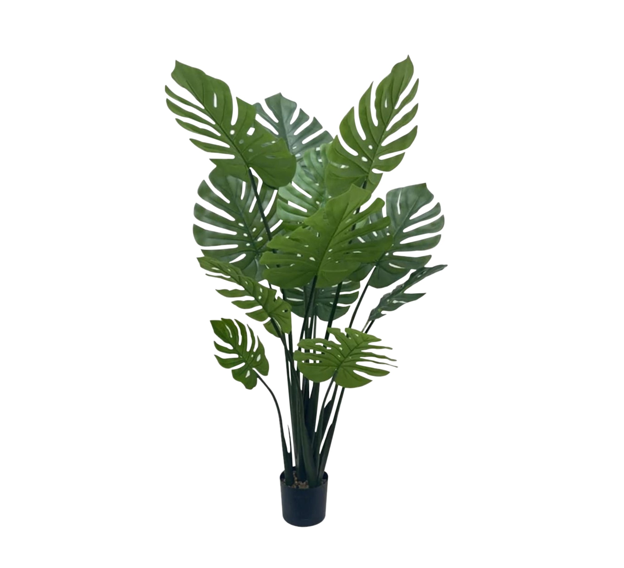 Swiss Cheese Plant Pot - Chic & Durable Design - Vitrine Furniture - Décor
