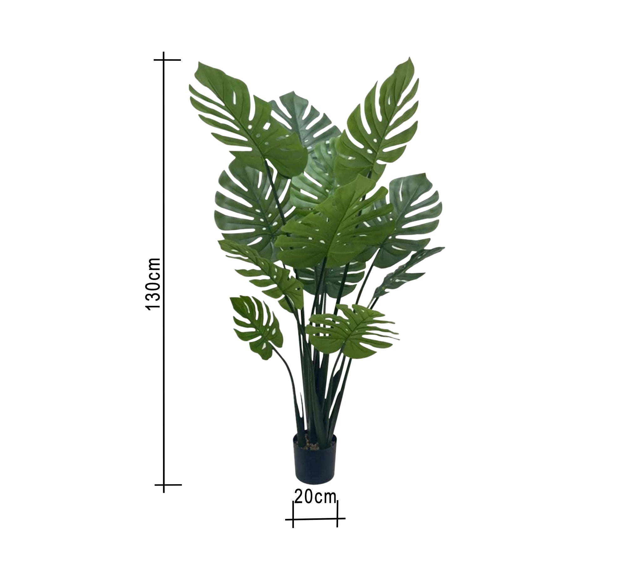 Swiss Cheese Plant Pot - Chic & Durable Design - Vitrine Furniture - Décor