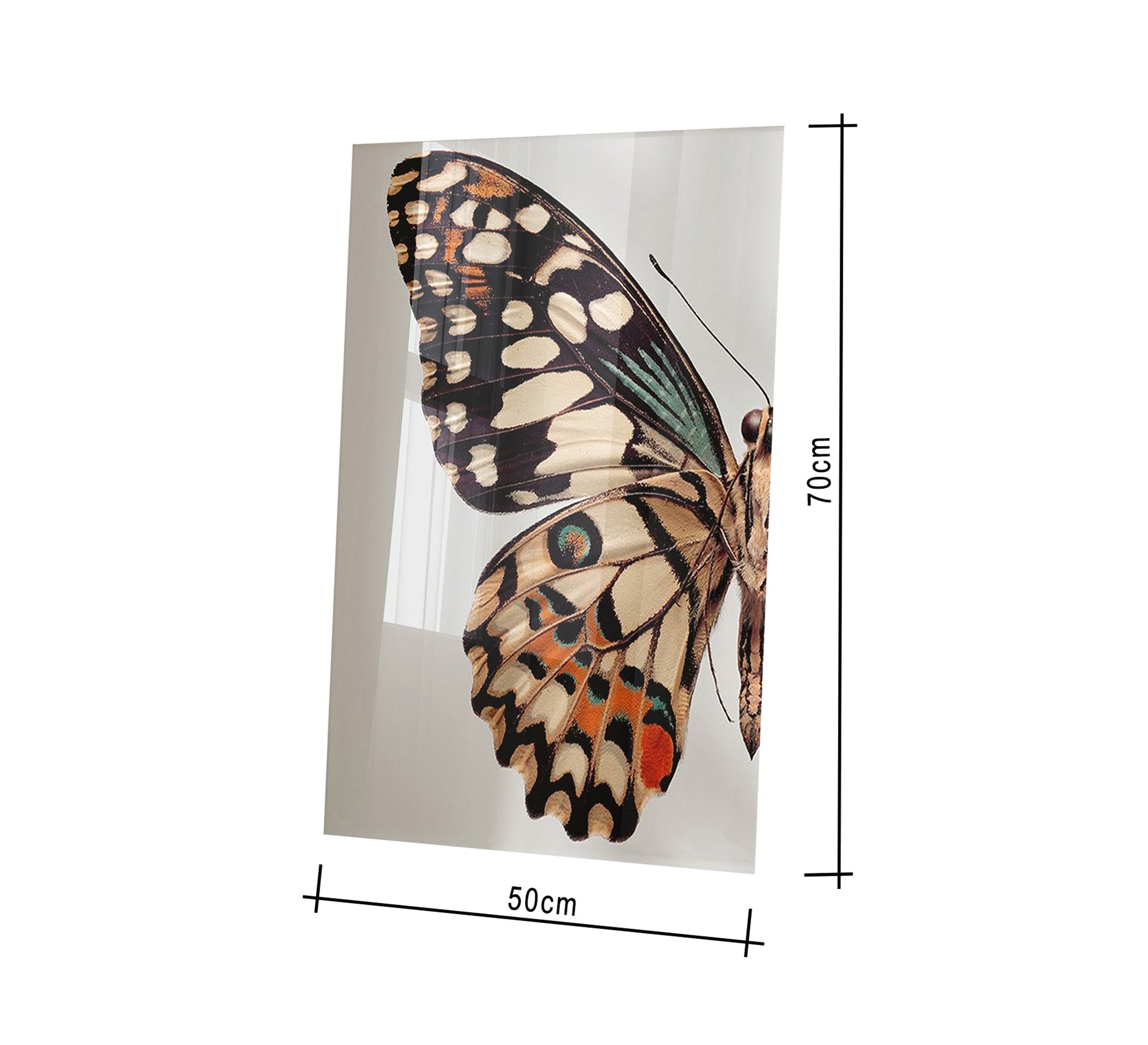 Wall painting of a large butterfly - Vitrine Furniture - Décor
