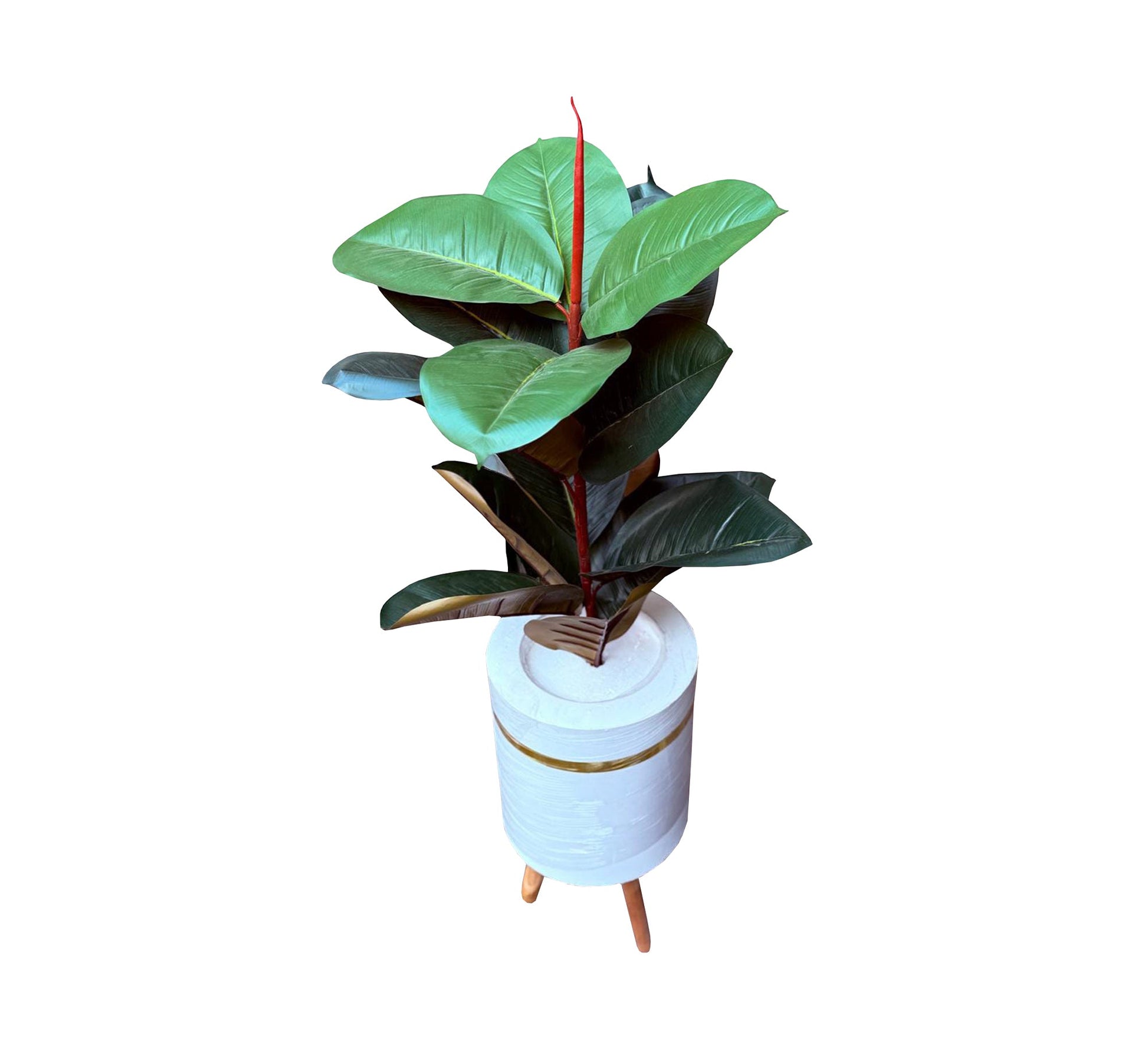 White ficus pot - Vitrine Furniture - Décor
