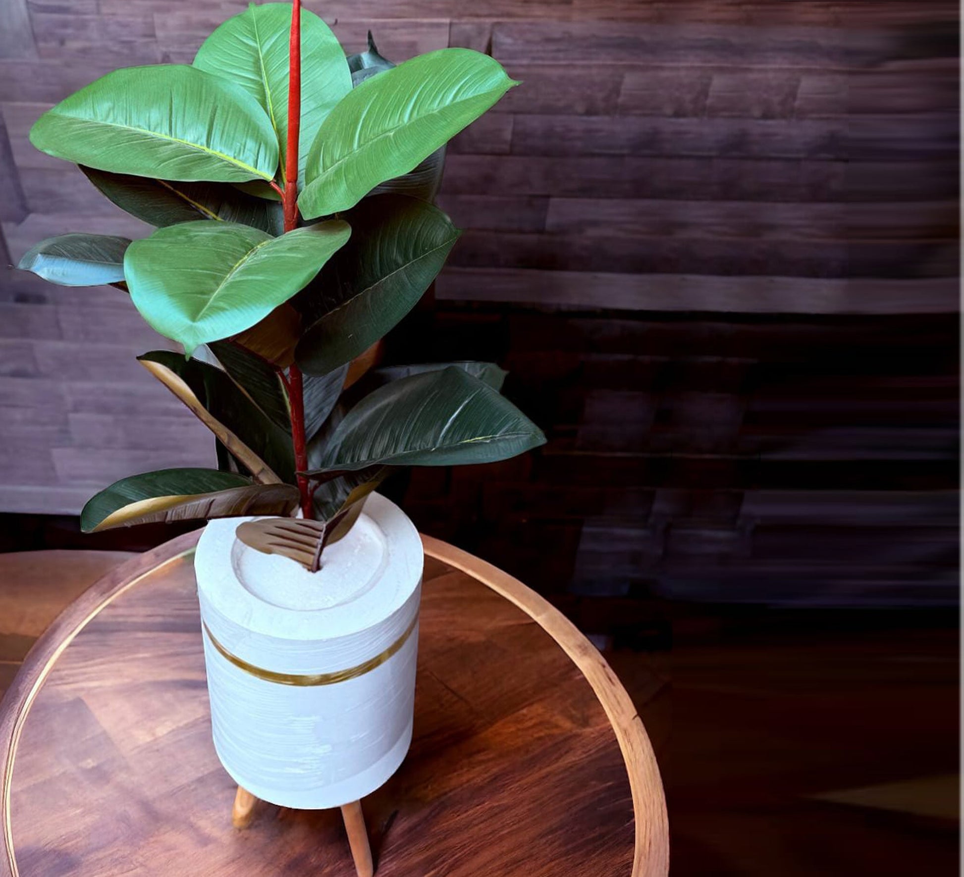 White ficus pot - Vitrine Furniture - Décor