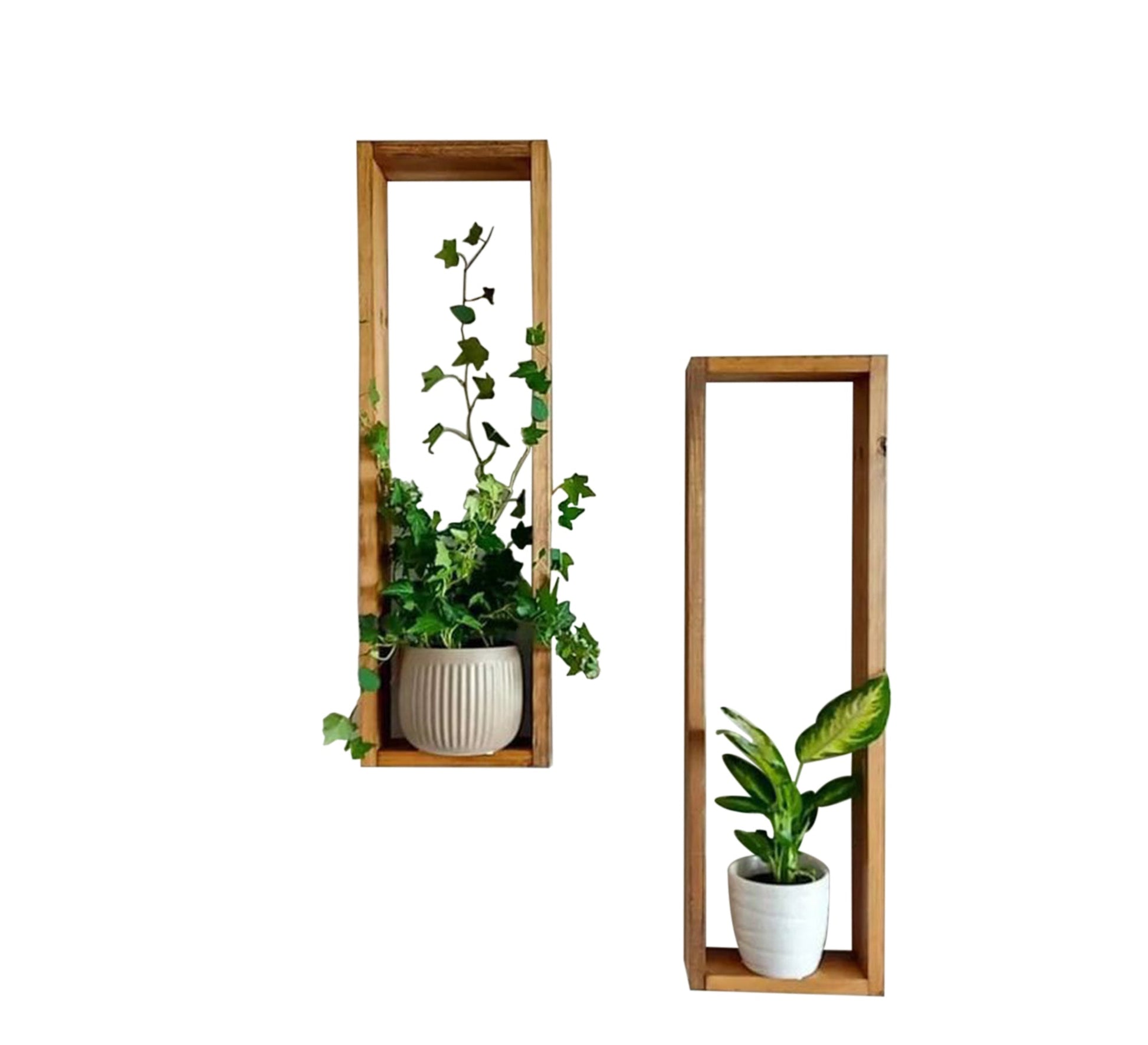 Wooden Shelves - Elegant, Sturdy Wall Decor - Vitrine Furniture - Furniture