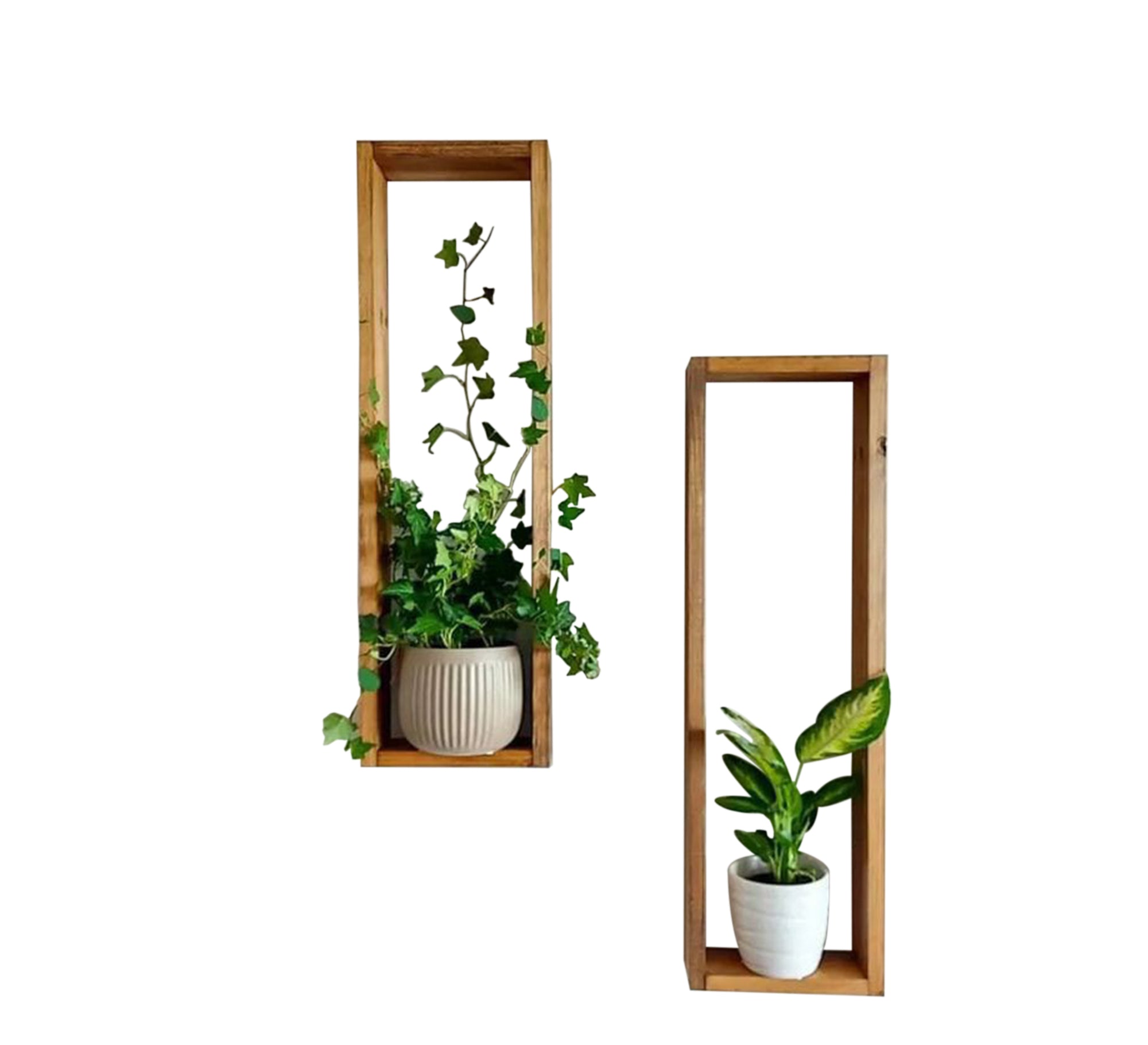 Wooden Shelves - Elegant, Sturdy Wall Decor - Vitrine Furniture - Furniture