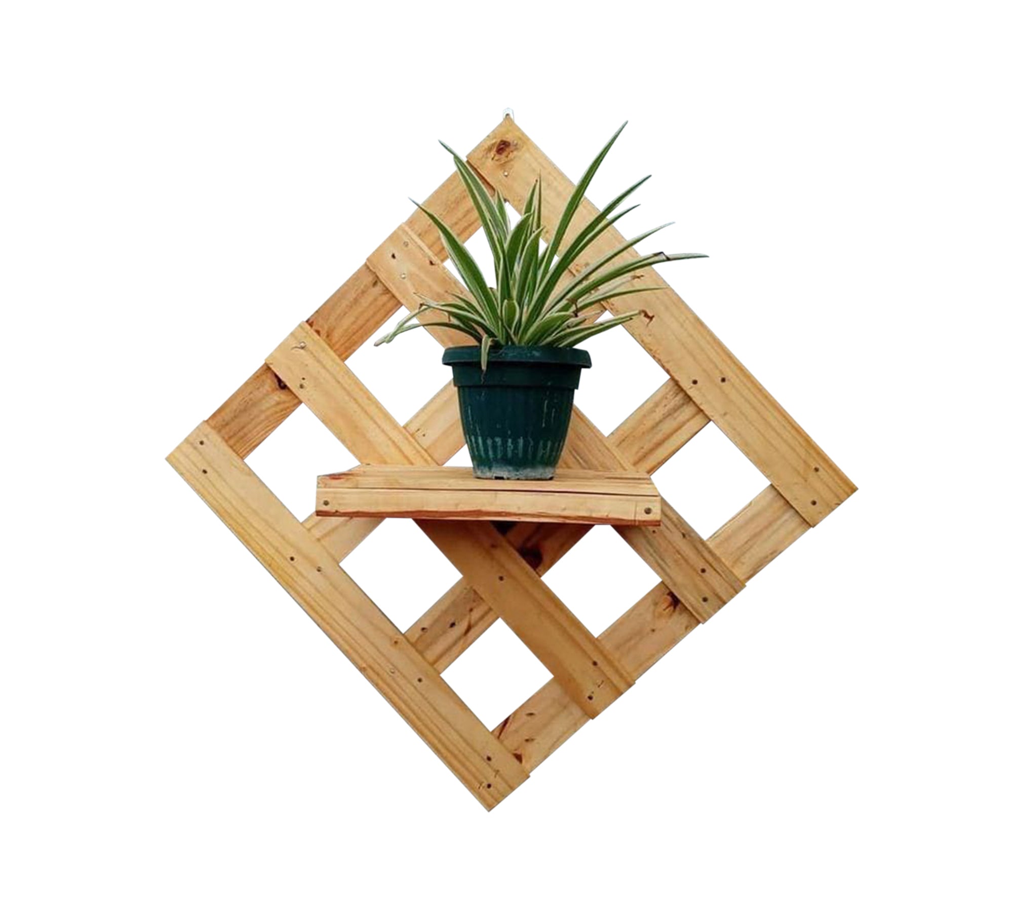 Wooden wall decor - Vitrine Furniture - Furniture