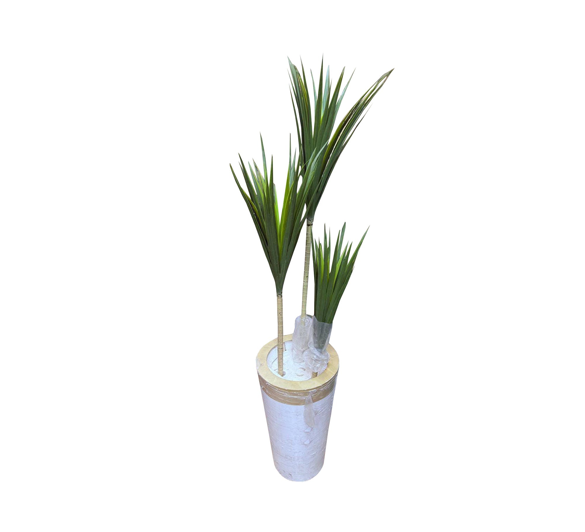 Yucca tree three trunks - Vitrine Furniture - Décor